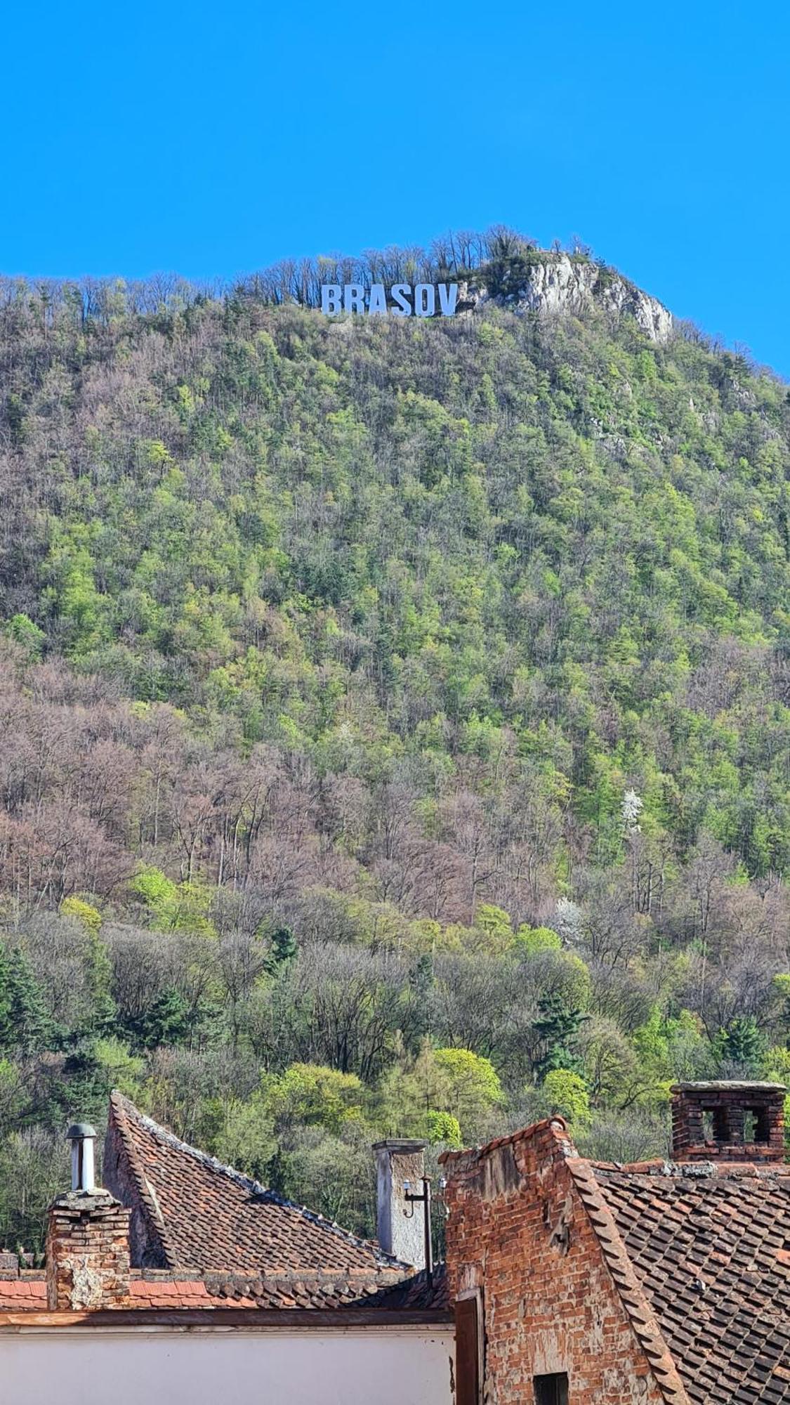 Republicii Brick Studio Brasov Bagian luar foto